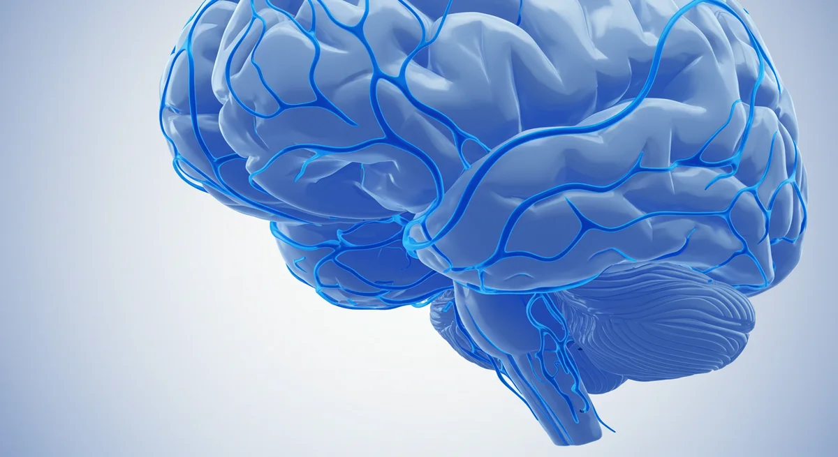 Long-Term Brain Damage: Ebola Survivors Face Neurological Hurdles Decades Later