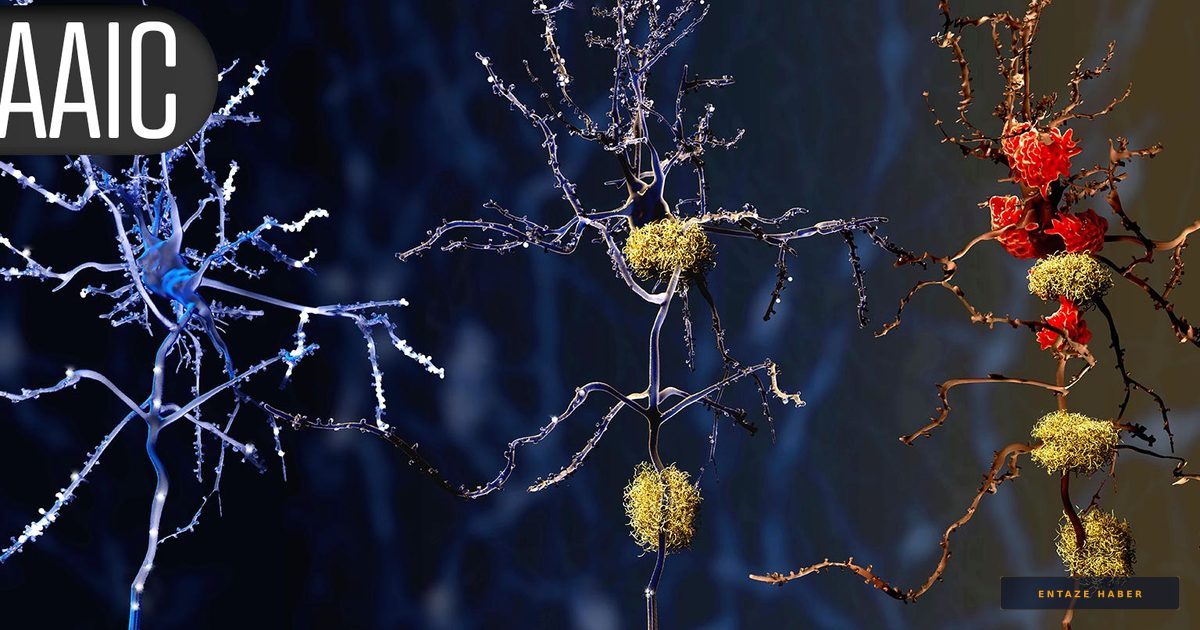Metabolic Syndrome Linked to Accelerated Brain Aging: New Study Reveals